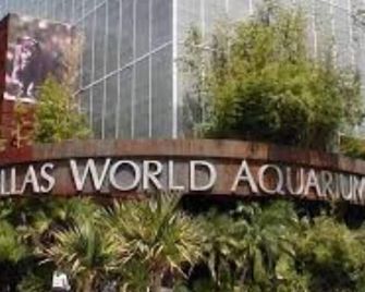 Heated Pool and Hottub Car rental available too - Frisco - Outdoors view