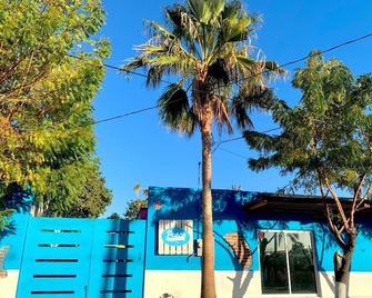 Peace Hostel MX - La Paz