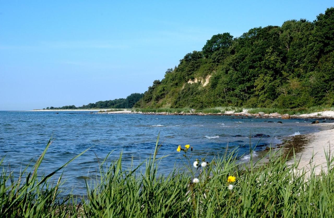 Hotel Haus Monchgut 96 1 1 0 Ostseebad Thiessow Hotel Deals