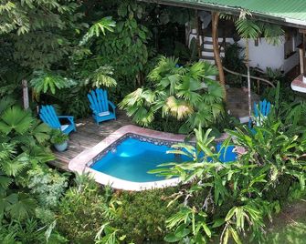 5 Bedroom, 3 level Treehouse Style Home near Corcovado National Park, and Beach. - Puerto Jiménez - Piscina
