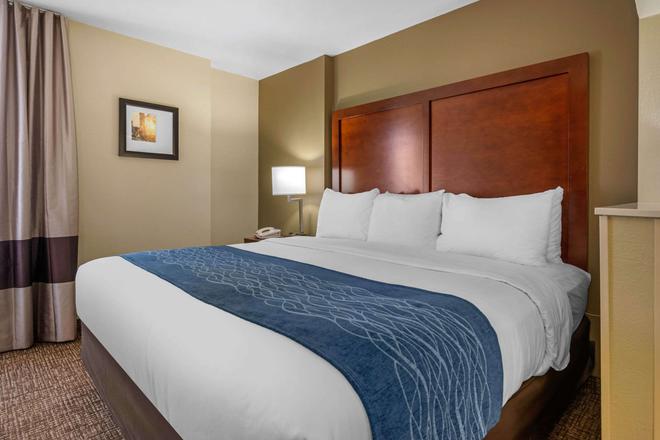 Comfort Inn Ocala Silver Sprgs 121 1 3 9 Ocala Hotel Deals