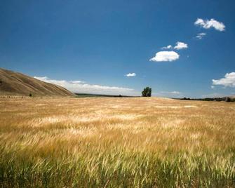Savana Estate - Hastings - Außenansicht