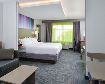 Holiday Inn Express & Suites Shippensburg By IHG - Shippensburg - Habitación