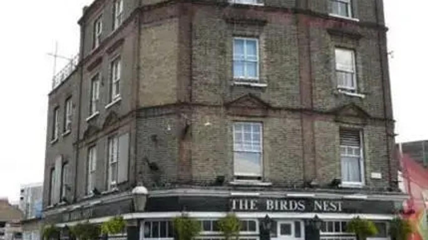 The Birds Nest Hostel