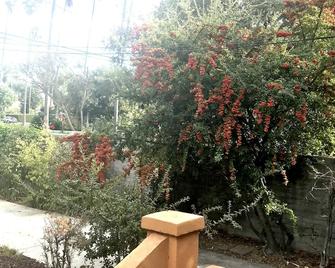 Charming spanish cottage - Pasadena - Outdoors view