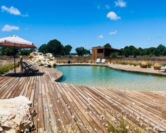 Magnifique Maison Moderne Sans Aucun Voisinage à 5 du Village Prisé de Comporta - Comporta - Pool