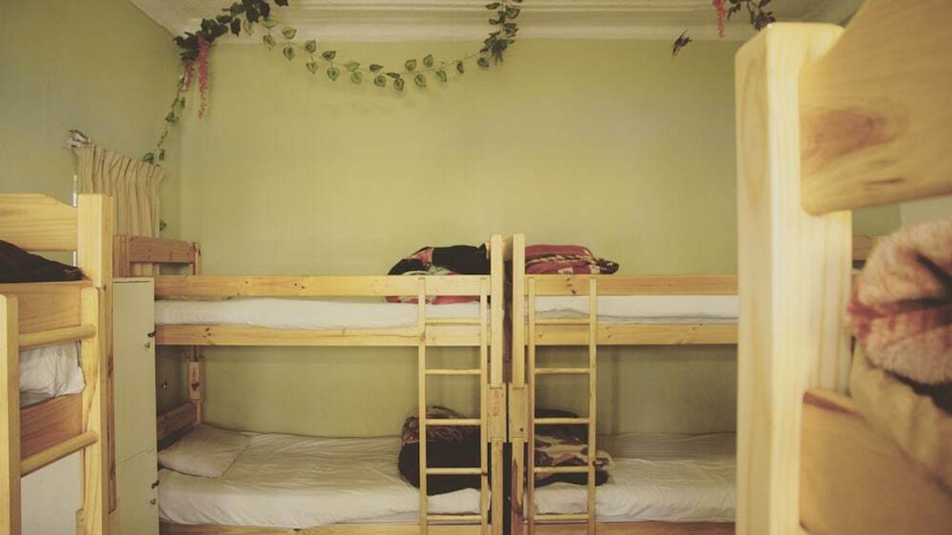 Homebase Melville - Hostel