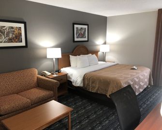 Quality Inn - Rochester - Habitación