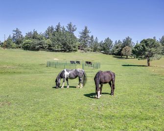 Julian Cottage Stay w/ Near Wildlife & Wineries - Julian