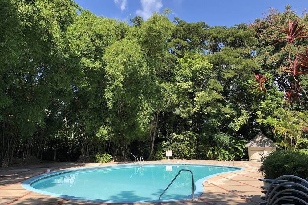 Tropical Escape Villa - Ocho Rios - Pool