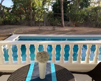 Villa D'Enghien - Boracay - Piscina