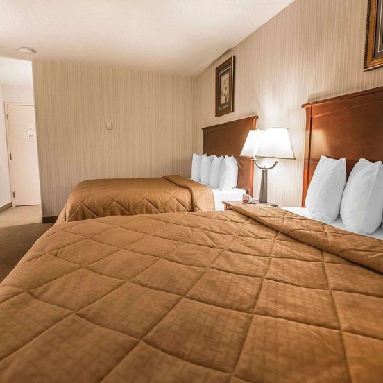 Quality Inn and Conference Centre image 1