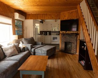 Ocean Beach Fire Island Great House Perfect distance to beach and town - Fire Island Pines - Living room