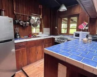Eco-Cabin apartment inside Cloudforest - Cerro Punta - Keuken