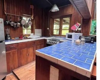Eco-Cabin apartment inside Cloudforest - Cerro Punta - Cocina