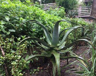 30 on Oatlands Road - Grahamstown - Außenansicht