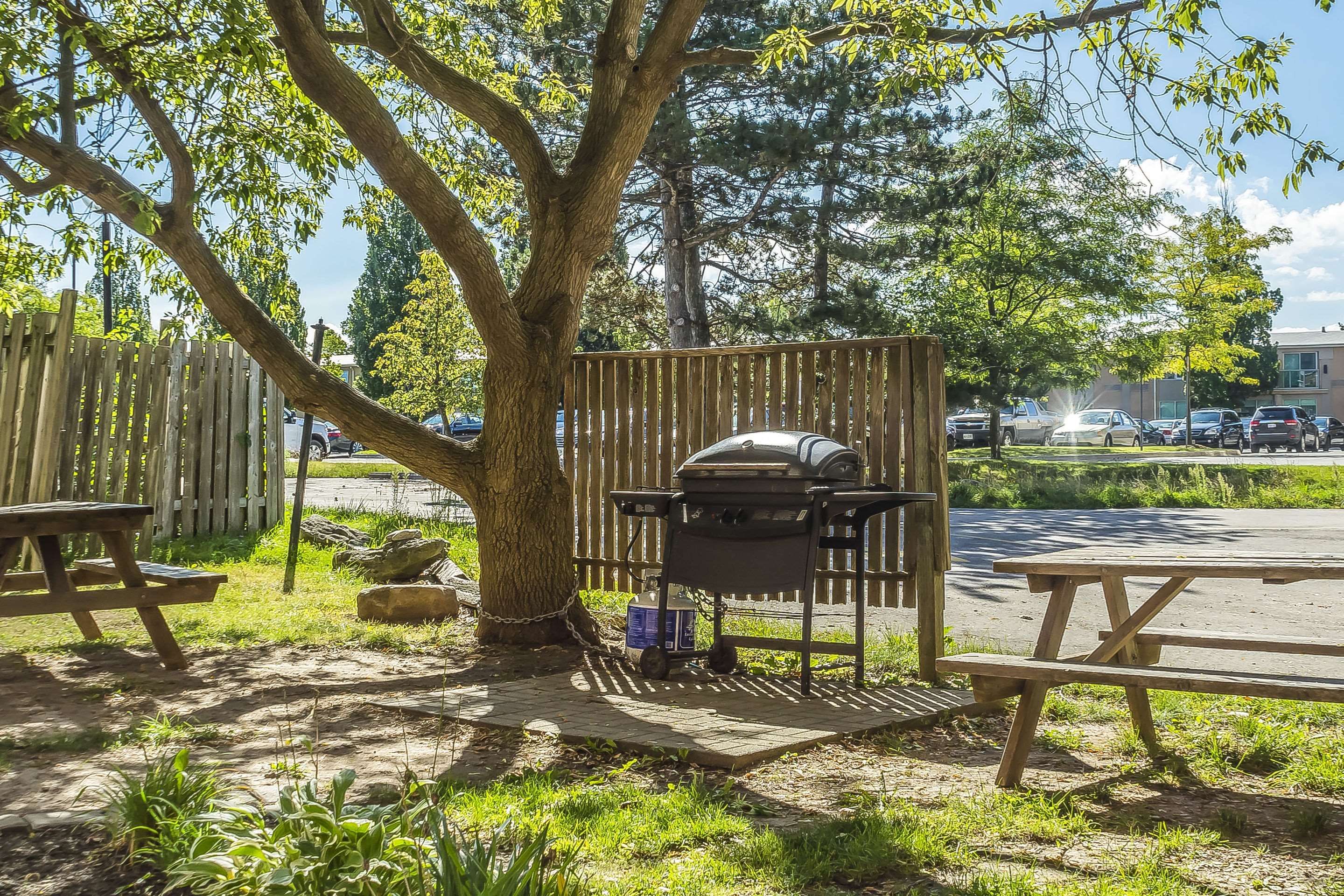 Quality Suites London - London - Patio