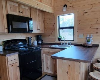 Log Cabin Tiny Home Getaway on 22 acres - Cadillac - Kitchen
