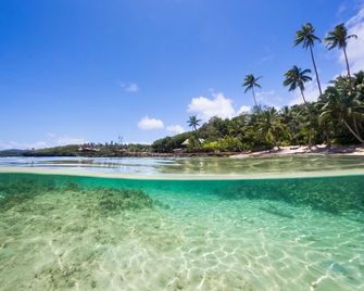 Savasi Island Resort - Savusavu - Beach
