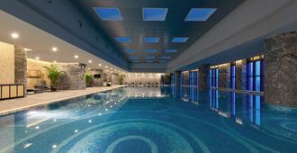 上海中星鉑爾曼大酒店 - 上海 - 游泳池