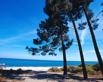 rest, calm, sun, swimming pool. - Ghisonaccia - Strand
