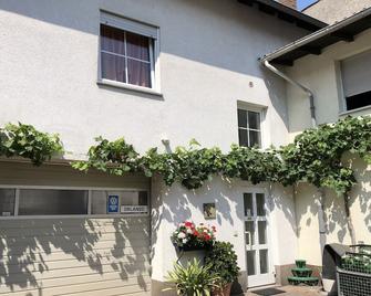 Darmstädter Hof - Maguncia - Edificio