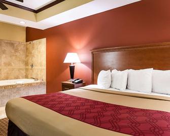 Econo Lodge Inn and Suites Little Rock SW - Little Rock - Bedroom