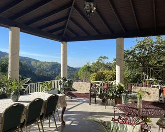 Starlight Chalet-Blue Mountain Escape-hiking trails, rivers & birding-breakfast. - Saint Andrew - Ban công