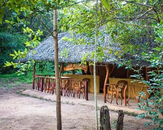 Relax Nature Villa - Sigiriya - Patio