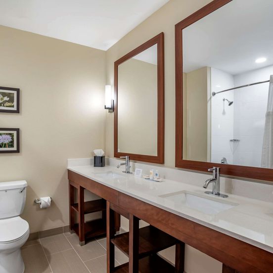 Bathroom view of Comfort Inn and Suites