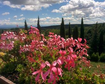 Maison de Dame Tartine - Saint-Christol-de-Rodières