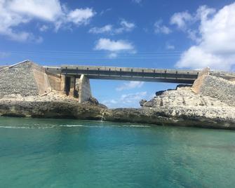 High Seas As Seen On Hgtvs Bahamas Life Ocean View, Open-Plan Modern Living - Alice Town - Pool