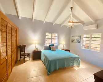 Spacious, renovated, two bedroom east end villa available for vacation or more. - Christiansted - Schlafzimmer