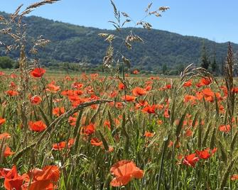 A beautiful private 2 bedroomed apartment with pool in stunning countryside - Villefranche-de-Rouergue - Extérieur