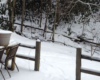 Ripshin Mountain studio apartment - Roan Mountain - Patio