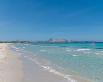 Cosy apartment for 3 guests with A/C, TV and pets allowed - San Teodoro - Strand