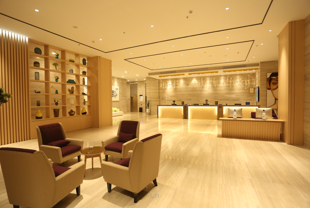 ibis Styles Nanchang Honggu New City - נאנצ'אנג - לובי