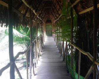 Amazon Camp Expeditions - Iquitos - Edifício