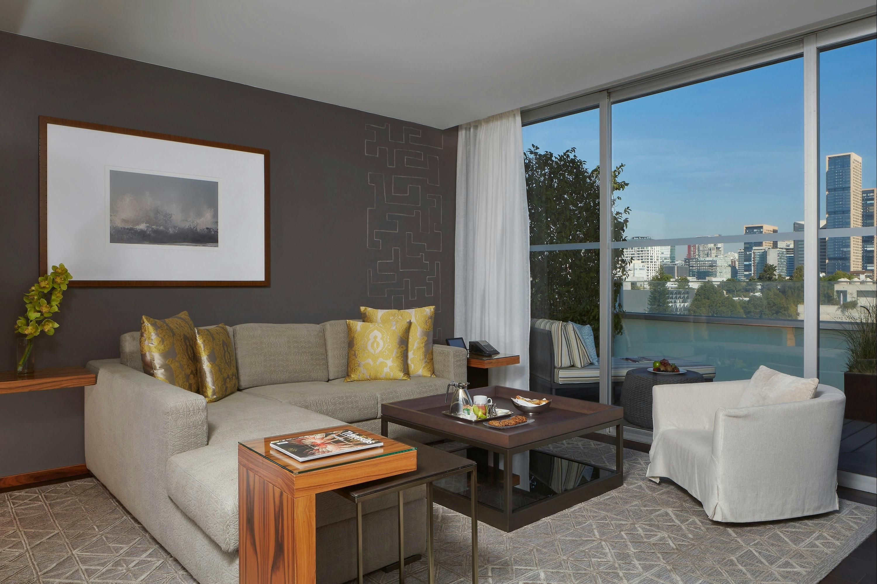 Las Alcobas, a Luxury Collection Hotel, Mexico City - מקסיקו סיטי - סלון