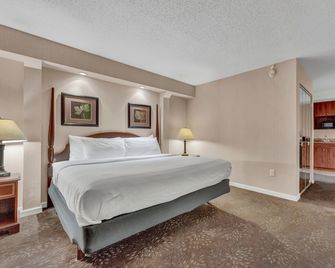 Buffalo Airport Hotel - Cheektowaga - Bedroom