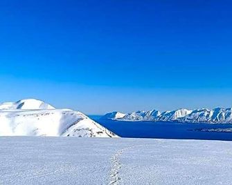 Hótel Dalvík - Dalvík