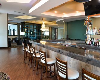 Hotel Plaza Juan Carlos - Tegucigalpa - Bar