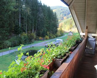 Apartment Tal - Venturhof - Oberwolfach - Balcon