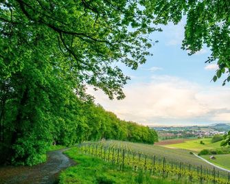 Wein & Bett Weihbrecht - Bretzfeld - Extérieur