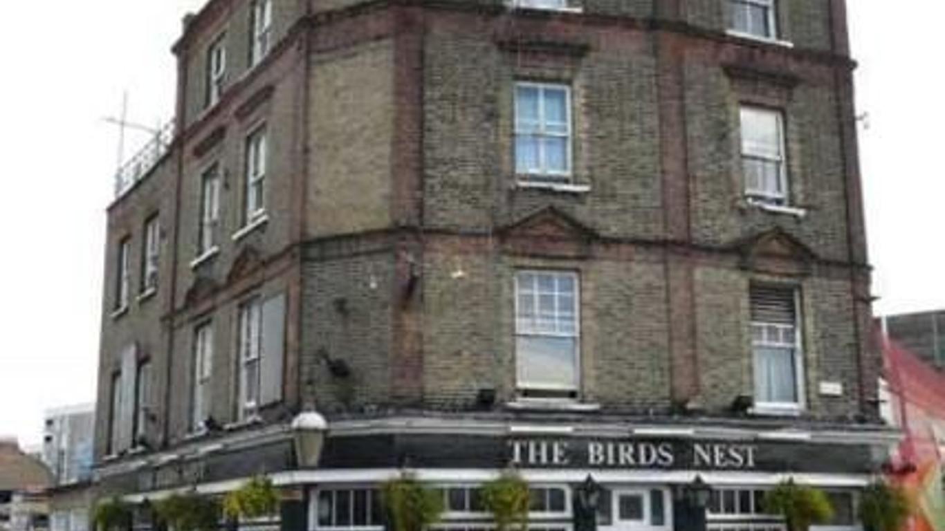 The Birds Nest Hostel