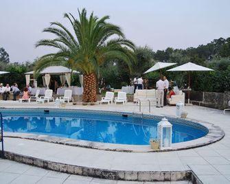 A Casa da Celeste - Mangualde - Piscina