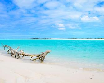 Lovely Villa with Infinity Pool / Ocean View / Great discount on Car - Georgetown - Beach