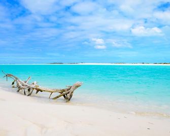 Lovely Villa with Infinity Pool / Ocean View / Great discount on Car - جورج تاون (الباهاماس) - شاطئ