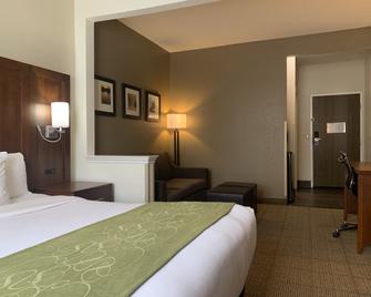 Comfort Suites Peoria I-74 - Peoria - Phòng ngủ