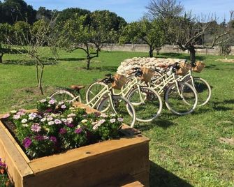 Quinta do Meco - Beach & Nature - Sesimbra